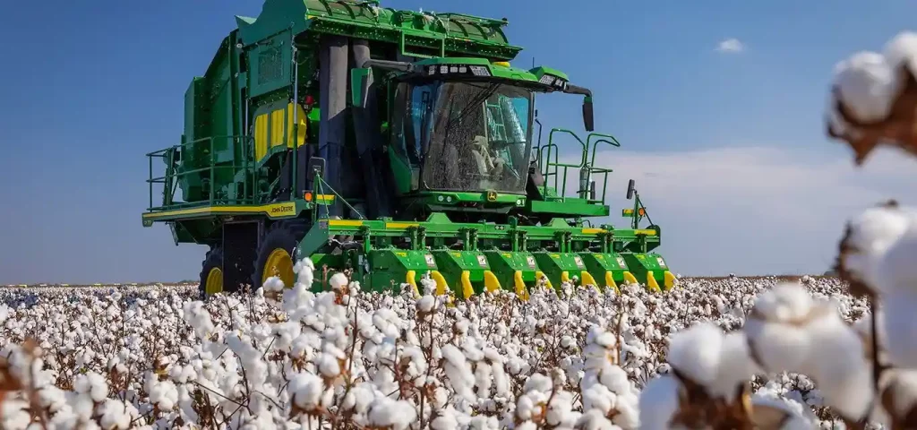 thu hoach bong vai cotton